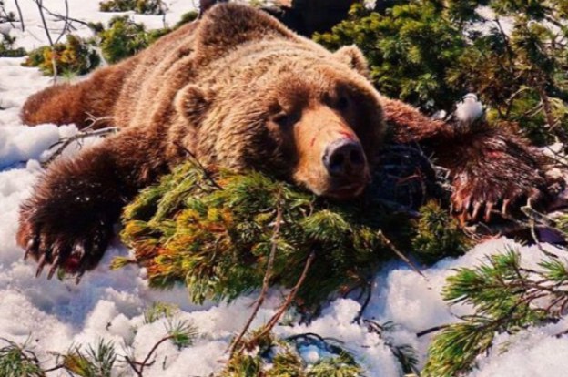 kamchatka2