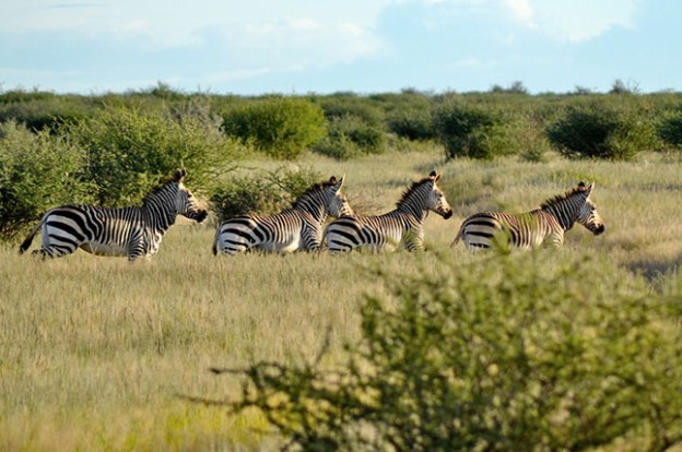 namibia2