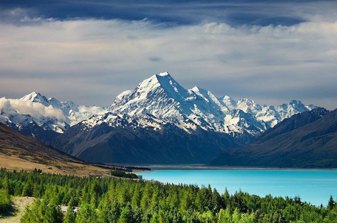 nueva zelanda2