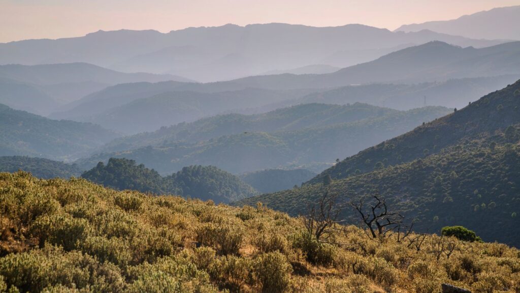 Rolling Andalusian mountains and bushy hills at sunset, typical scenery for game hunting estates in Spain