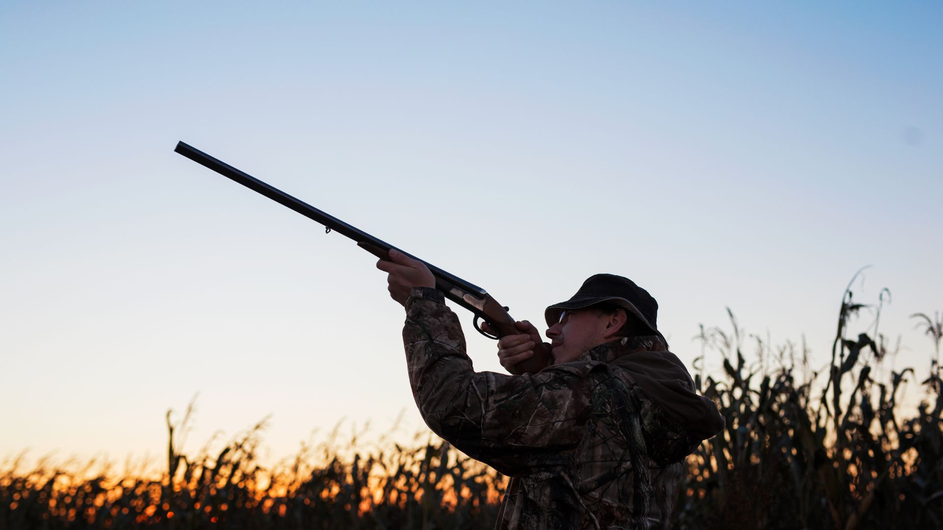 Foreign hunter aiming with shotgun during a Spanish hunt at sunset